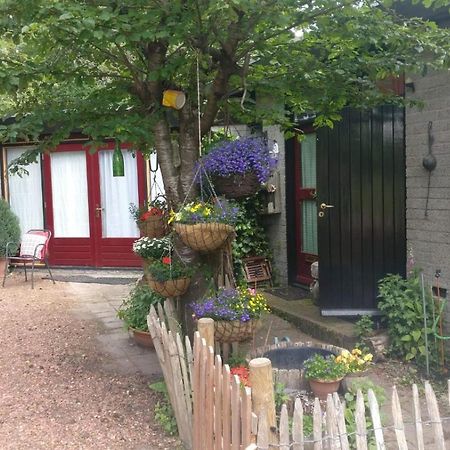 Bed And Breakfast Het Oude Bos Wijnjewoude Екстериор снимка