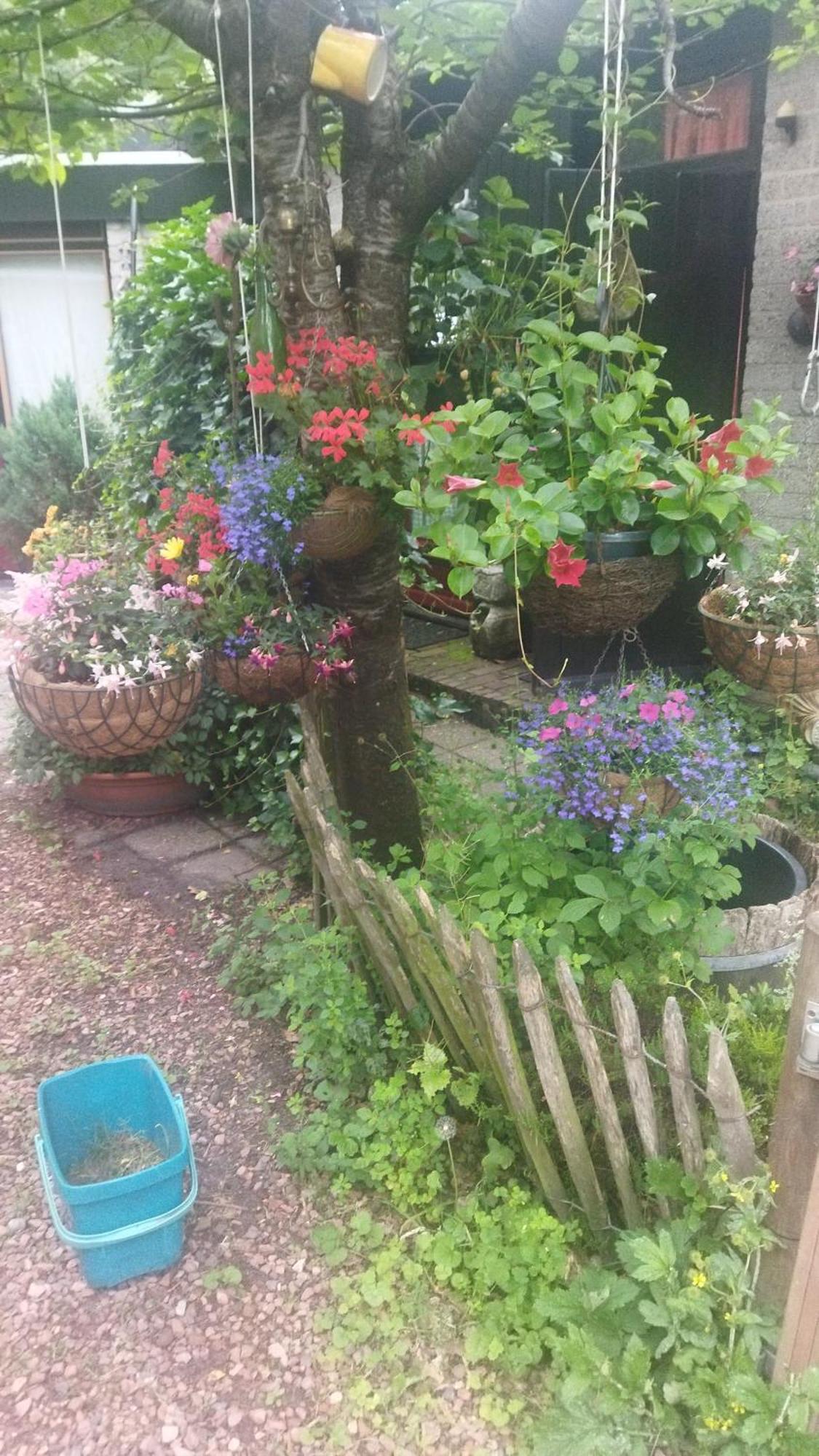 Bed And Breakfast Het Oude Bos Wijnjewoude Екстериор снимка